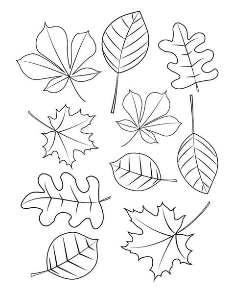 folhas de outono para colorir